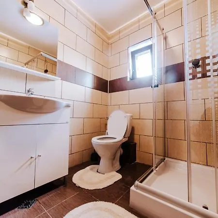 Hotel Alex Timisoara